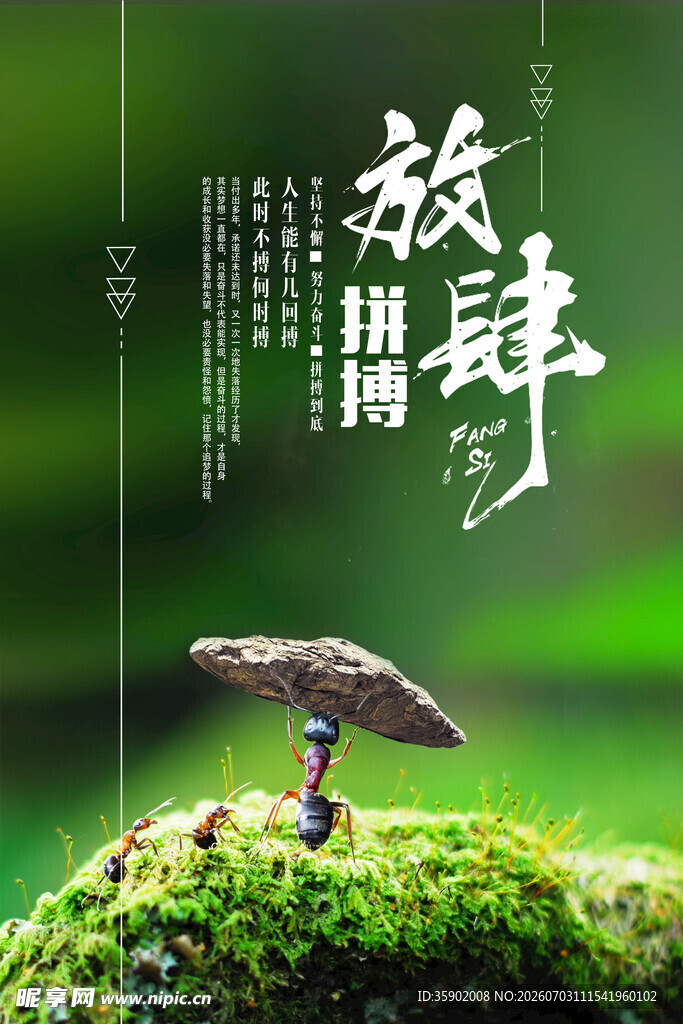 蘑菇生长在翠绿苔藓上