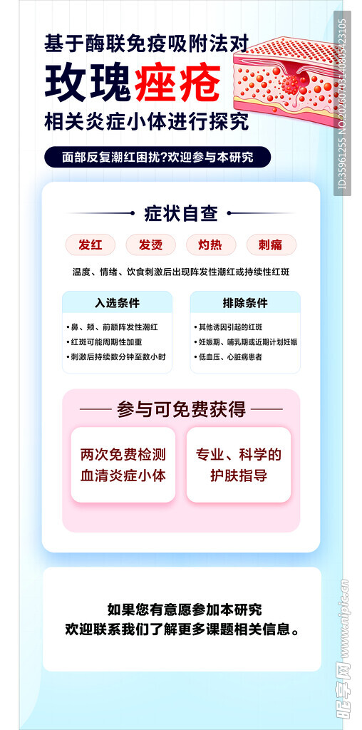 玫瑰价格表