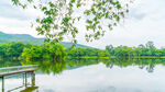 湖畔绿意美景