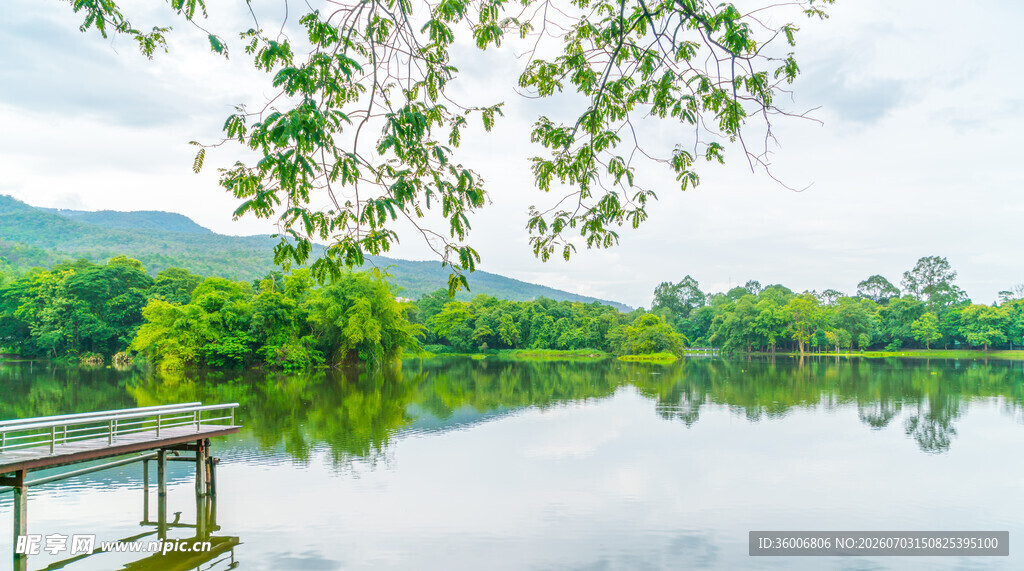 湖畔绿意美景