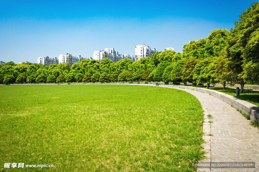 城市绿地中的蜿蜒小路