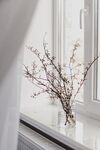 花瓶花枝