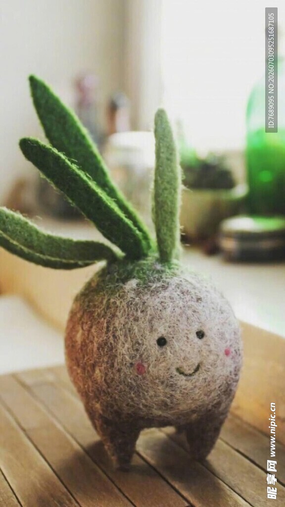 可爱椰壳绿植摆件