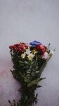 多彩鲜花组合