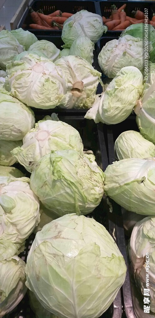 新鲜卷心菜堆放在一起