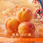 杏子宣传广告
