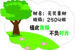 无花果树204班种植记