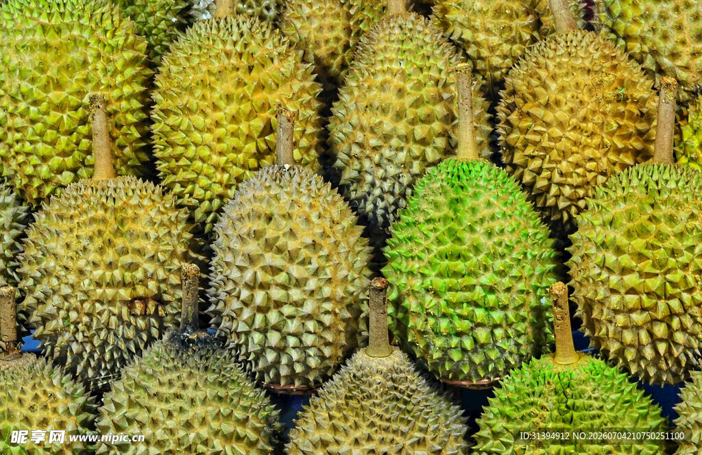 满满一堆新鲜榴莲果