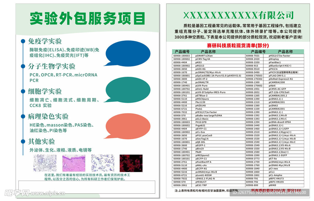 户外拓展项目策划方案展示