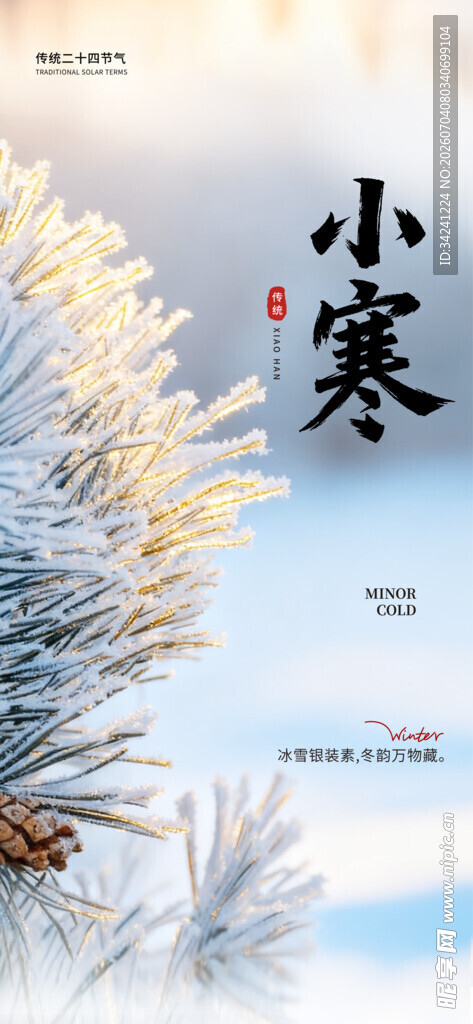 小寒时节霜花满枝