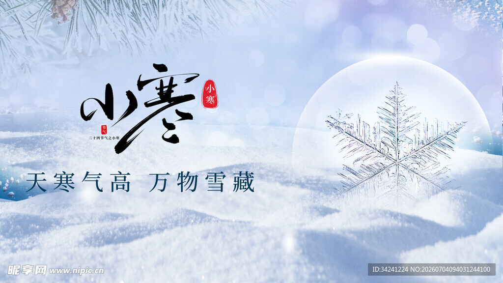 小寒节气雪花飘落景致