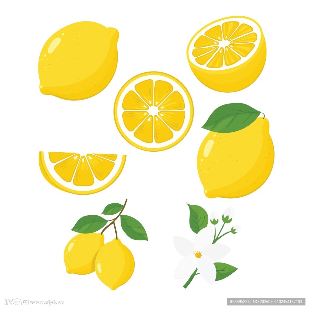 柠檬插画合集