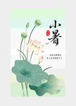 夏季小暑荷花