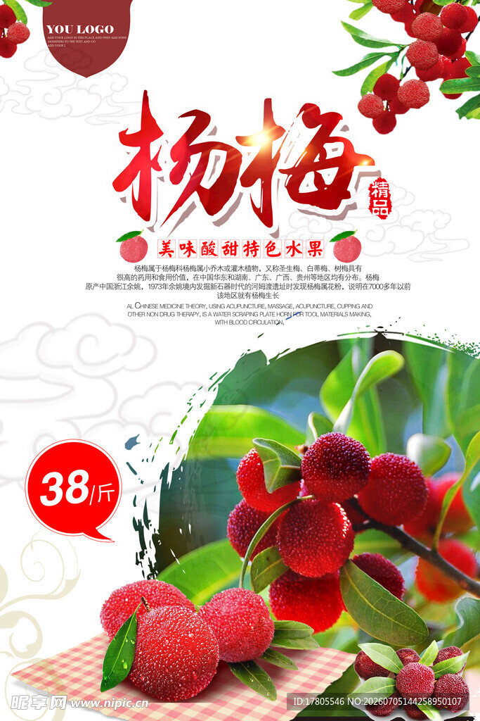 新鲜杨梅 果香四溢诱人