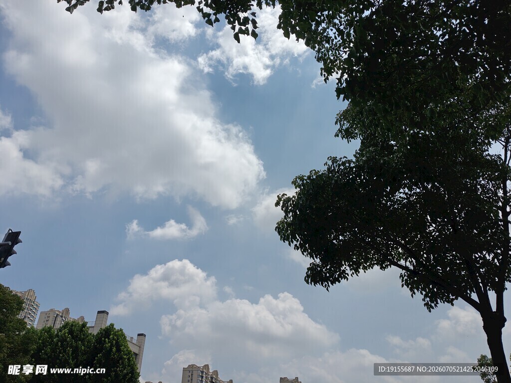 蓝天白云下的绿树景致