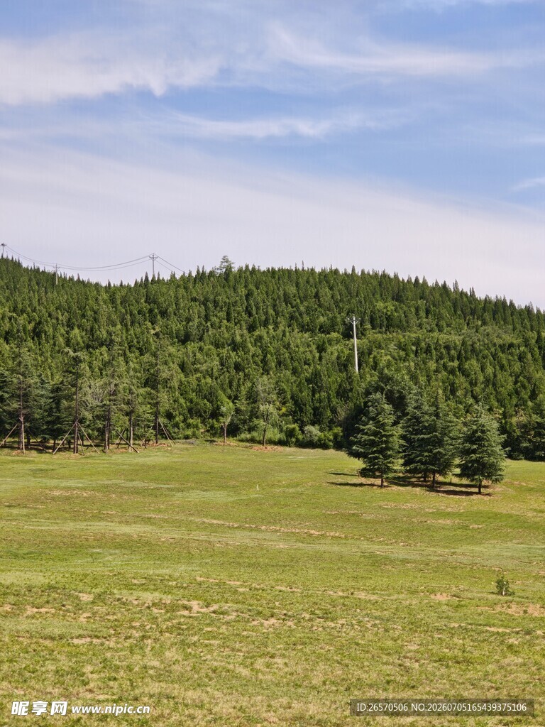 广袤绿野与葱郁山林