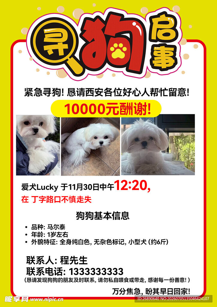 宠物狗售卖海报