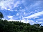 蓝天白云下的葱郁山林