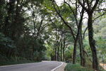 林间蜿蜒公路