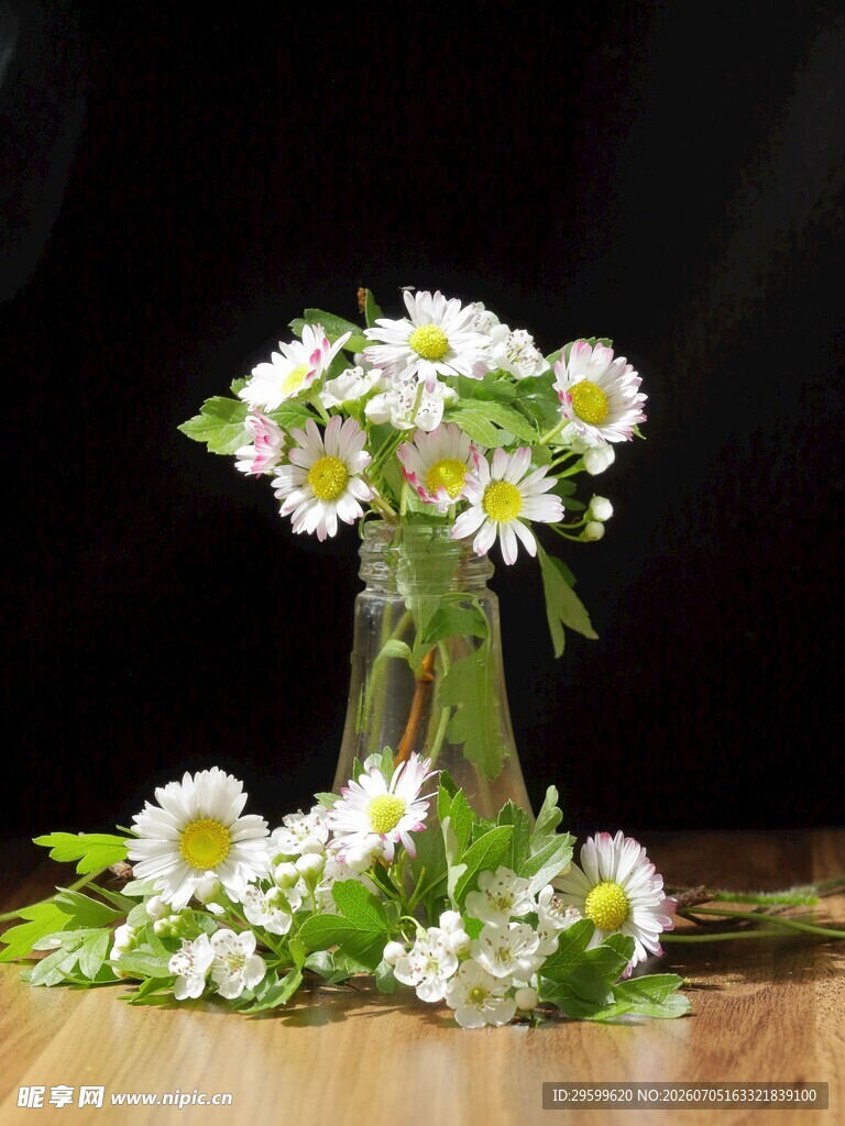 玻璃花瓶中的清新小雏菊