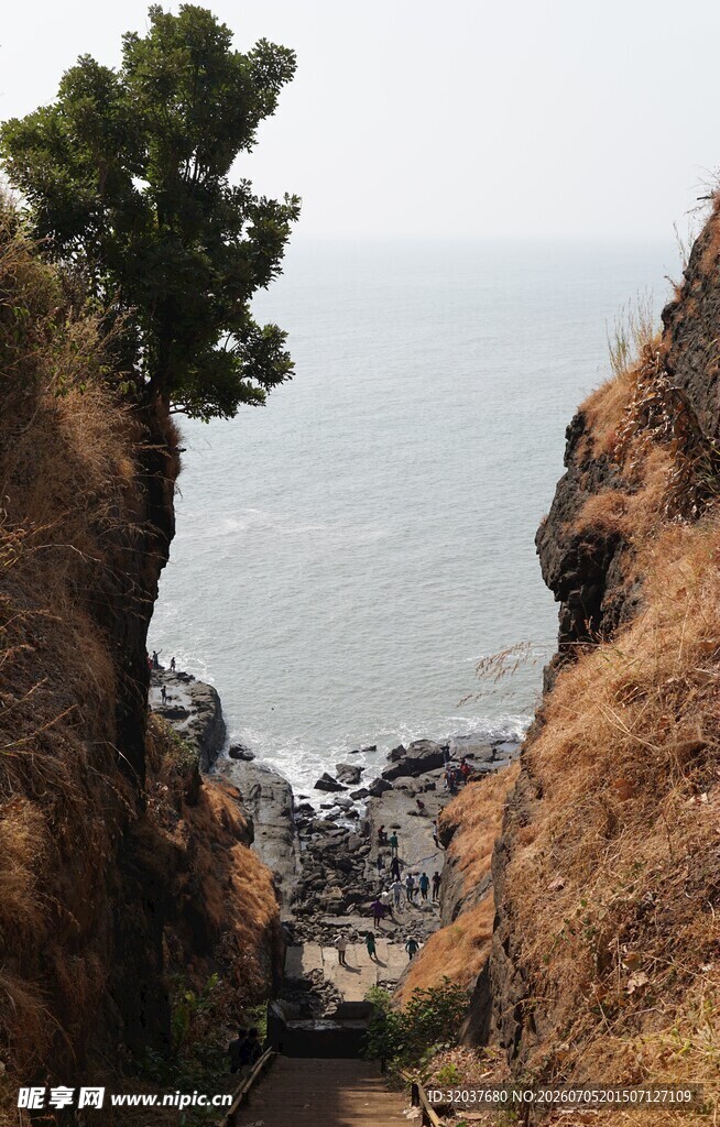 悬崖边孤树俯瞰壮阔海景
