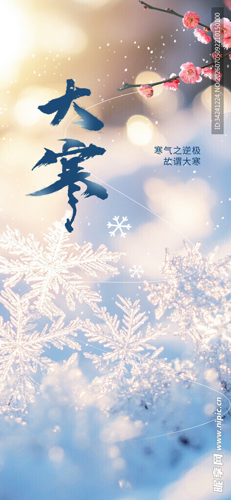 大寒时节雪景
