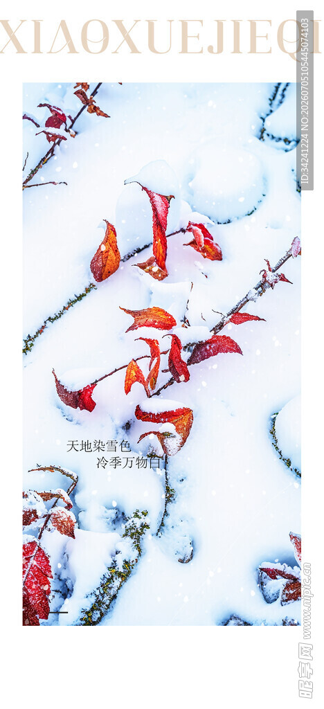 小雪节气雪景插画