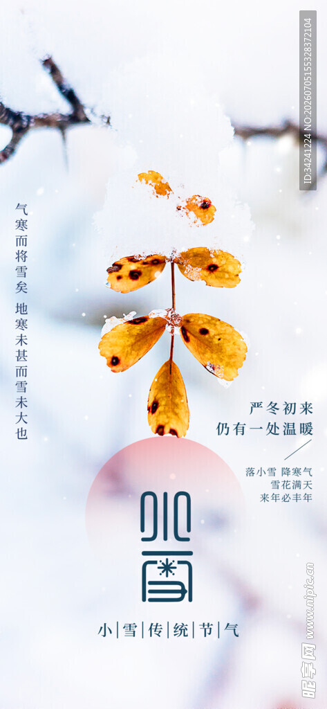 小雪节气雪景插画