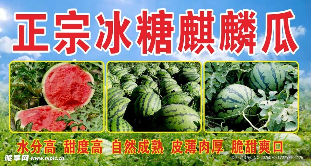 正宗冰糖麒麟瓜新鲜上市