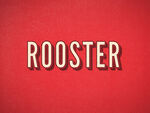 红色背景上的ROOSTER