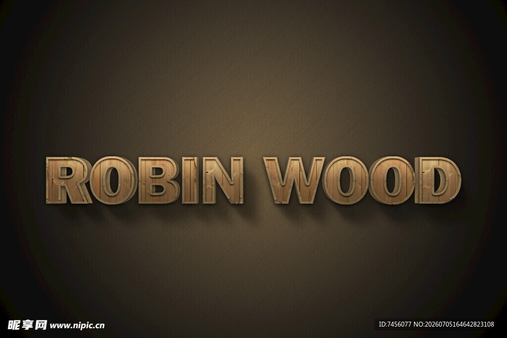 金色立体字ROBIN WOOD
