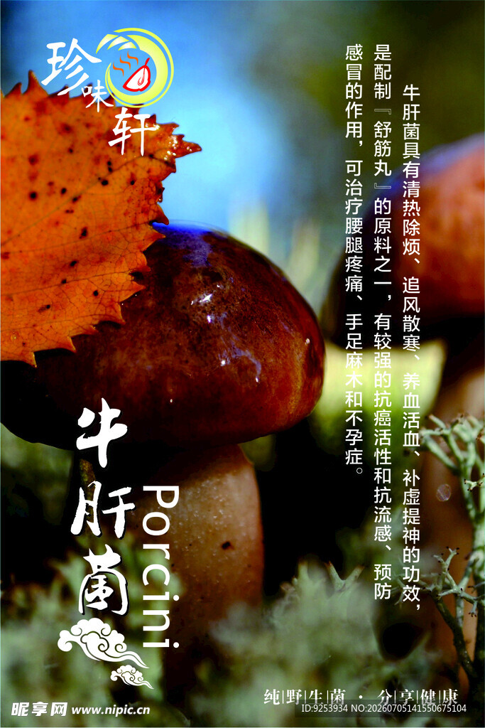 林中蘑菇 自然中的奇妙菌类