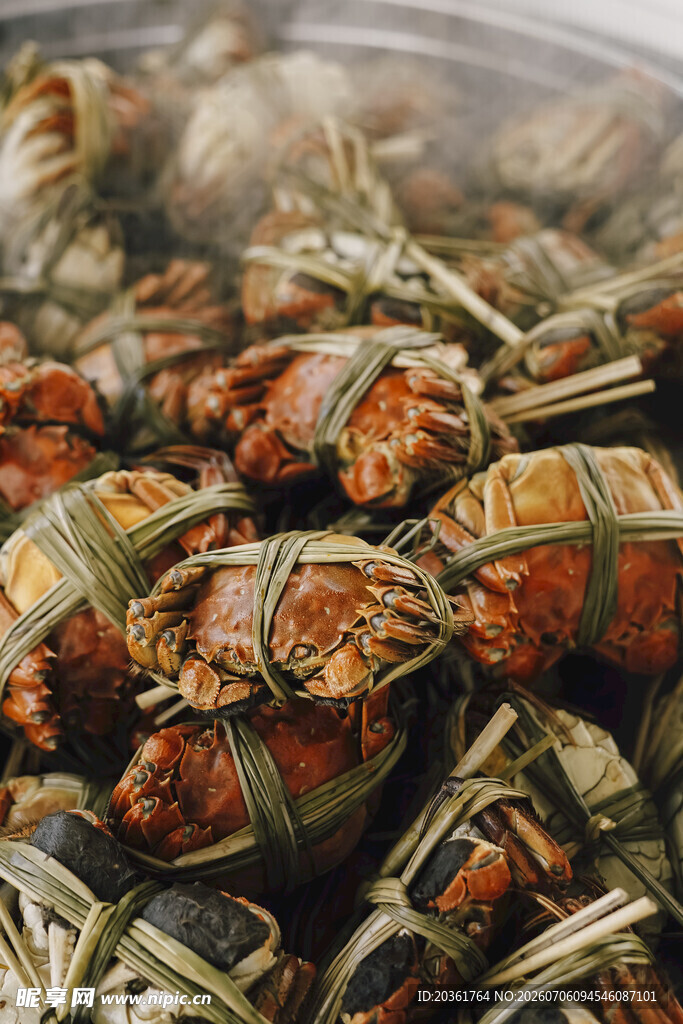 鲜活大闸蟹堆叠