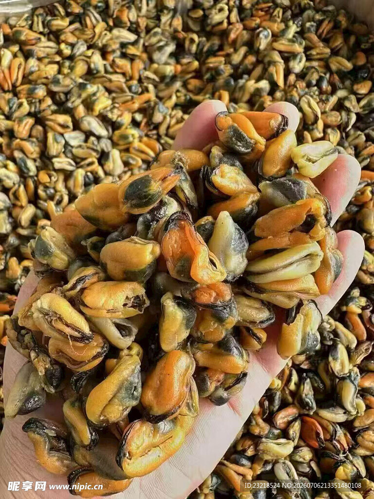 淡菜干