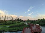 河畔木桥边的美丽黄昏景色