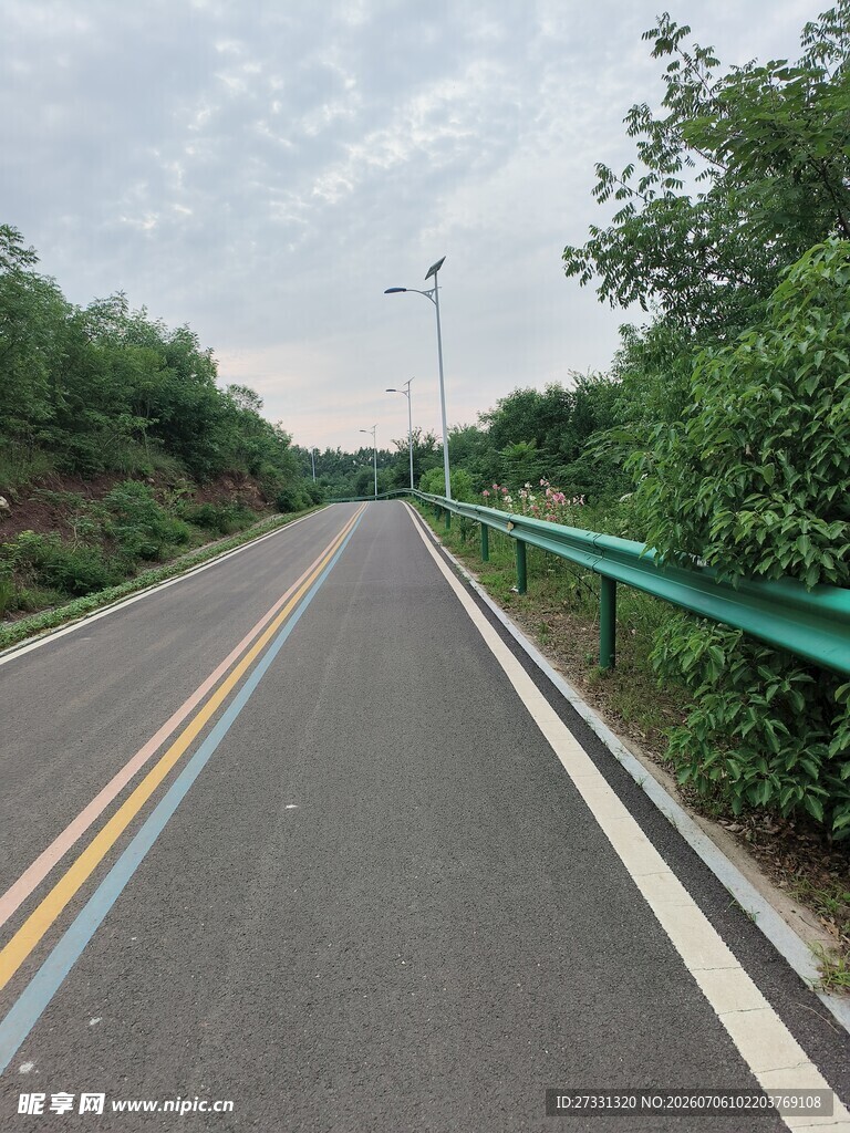 蜿蜒公路旁绿意盎然