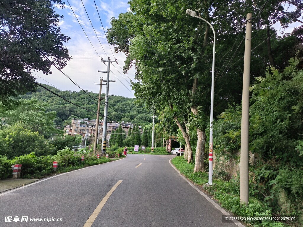 乡村林荫路