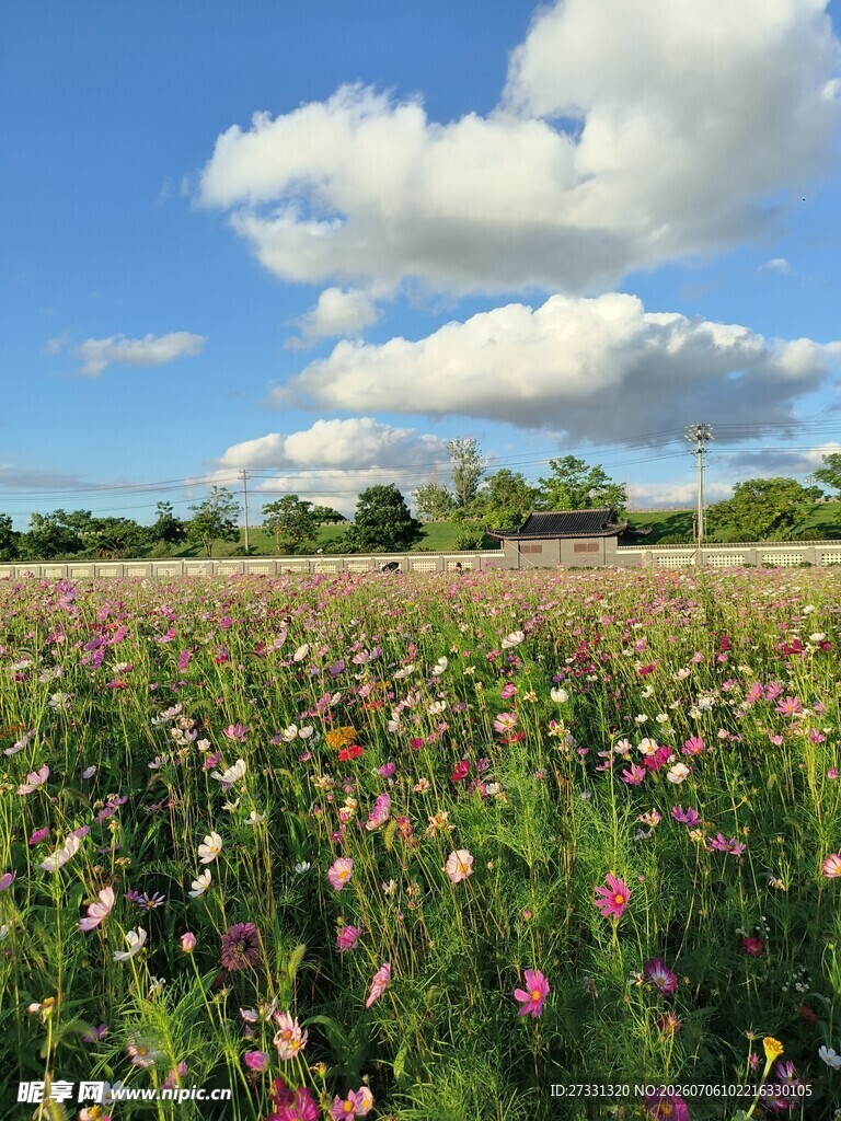 花海蓝天