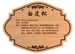 白皮松树牌