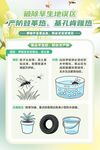 登革热   基孔肯雅热宣传海报