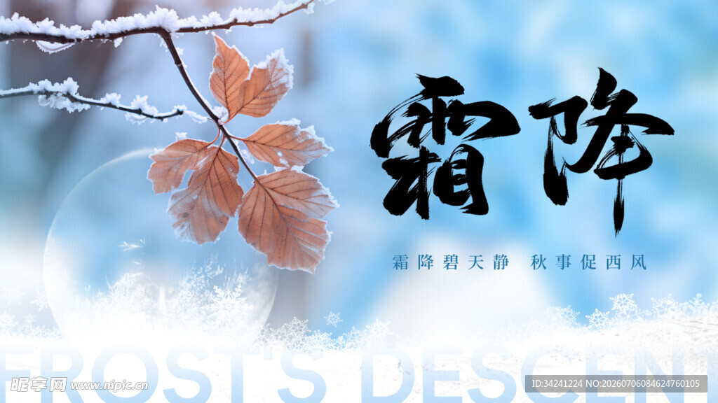 霜降时节枝头景