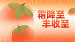 霜降丰收季的诱人柿子
