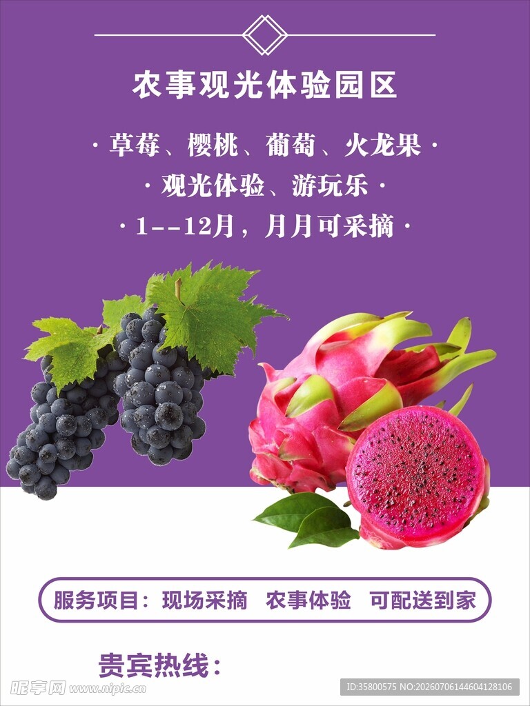 水果观光体验区宣传海报