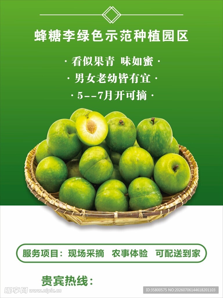 新鲜翡翠李 