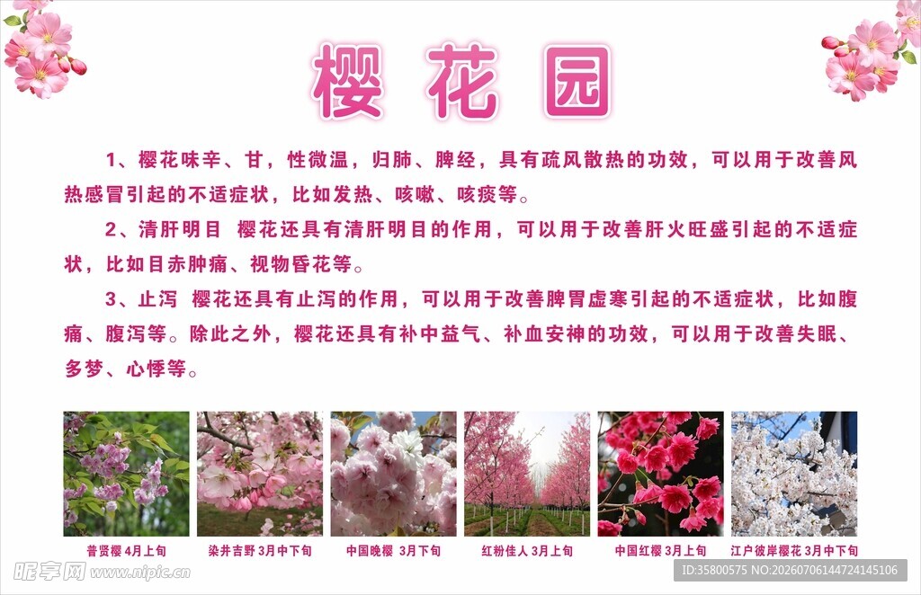 樱花园花卉展示