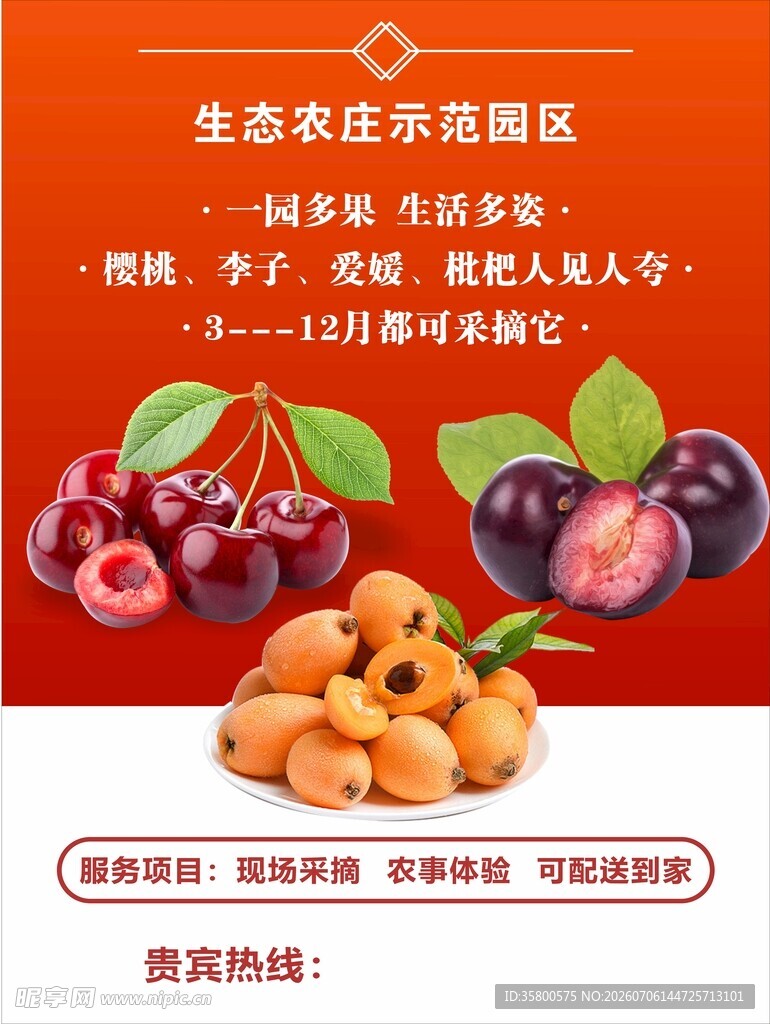 生态佳水果园现摘现发