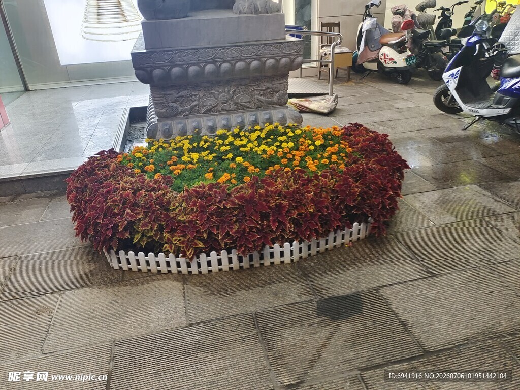 圆形花坛景观