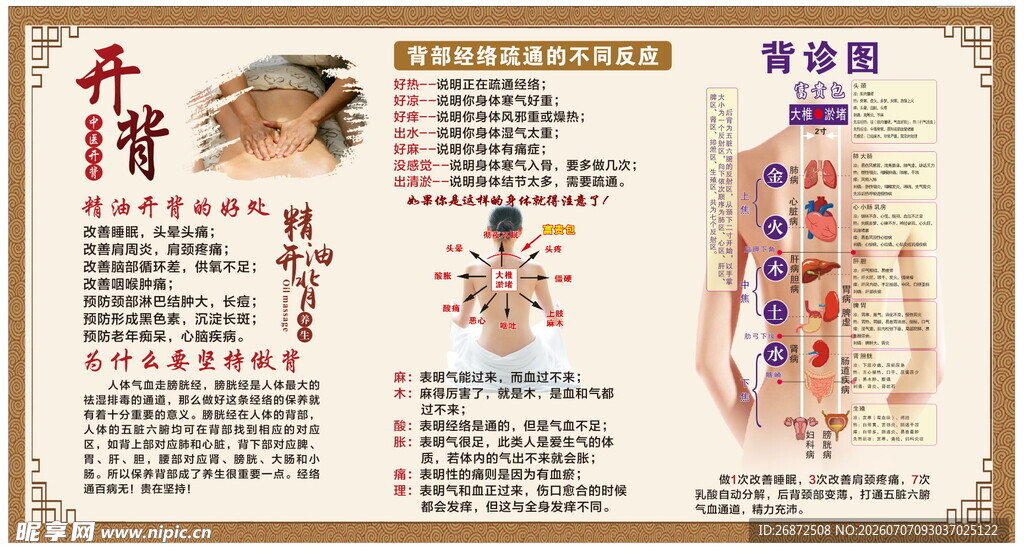 中医背部经络穴位示意图