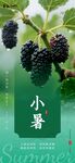 二十四节气海报小暑