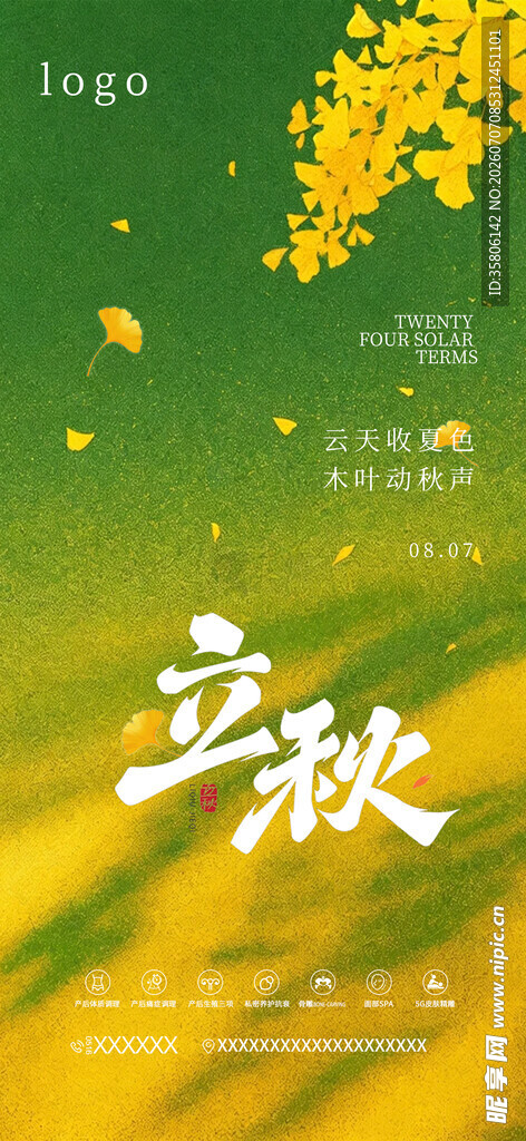 立秋时节金黄树叶伴阳光